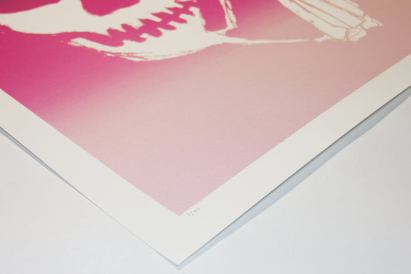 SKULLPHONE Limited Edition Print, 2019 Pink Fade