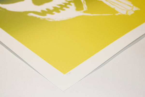 SKULLPHONE Limited Edition Print, 2019 Green Fade