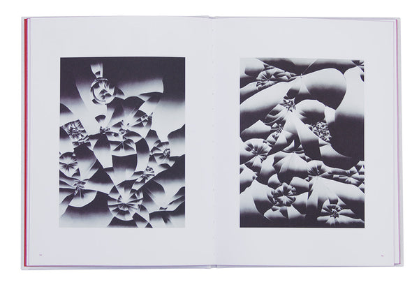 TAUBA AUERBACH Chaos, 2009